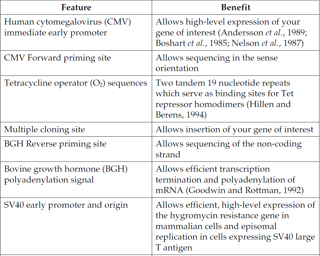 pcDNA5-TO 载体特征1